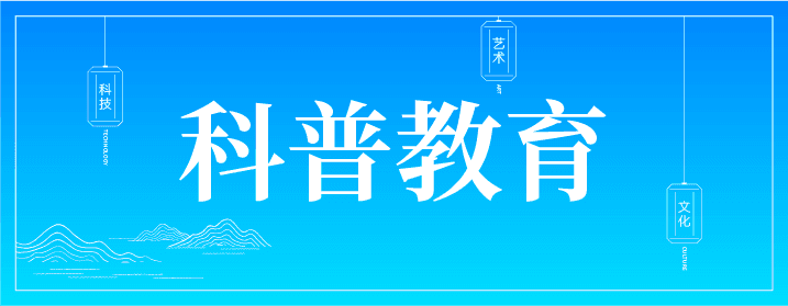 按钮 5